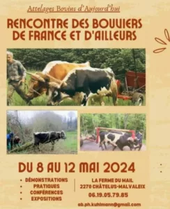 Rencontre des bouviers